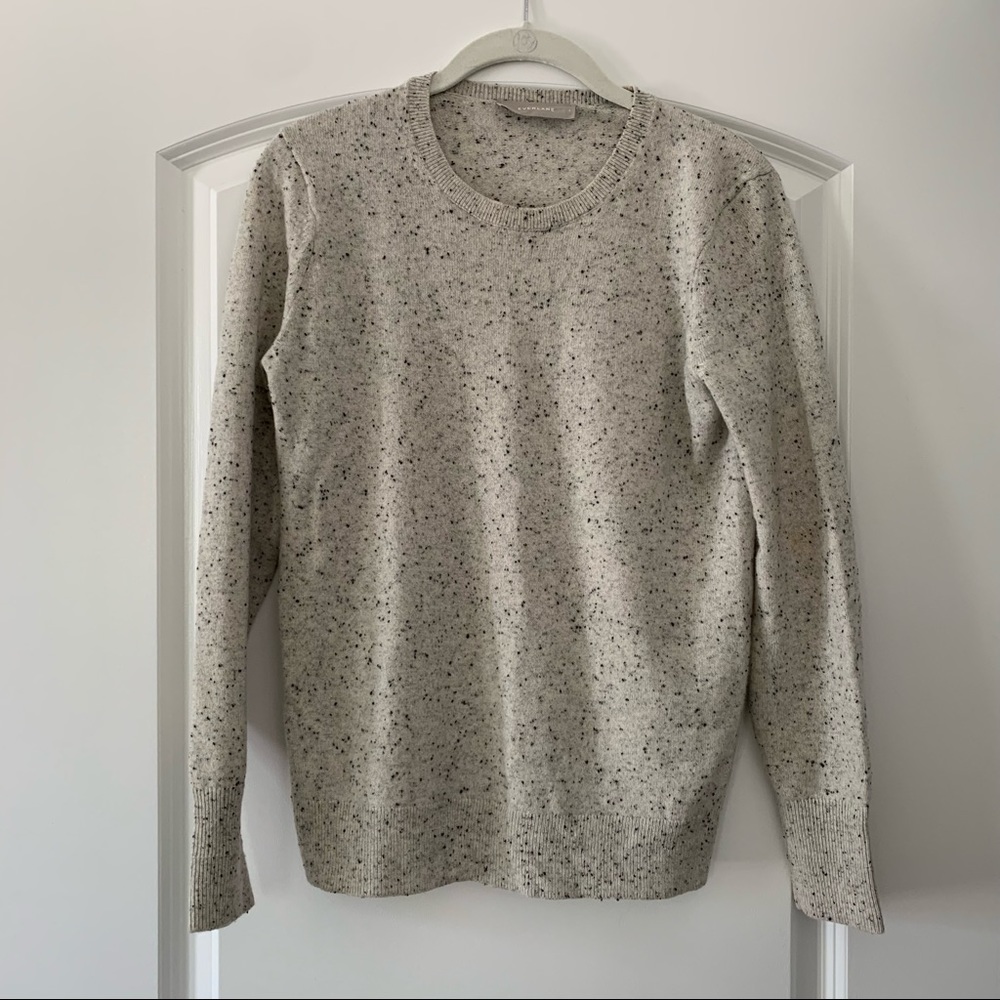 Everlane Cashmere Crew in Frost Donegal